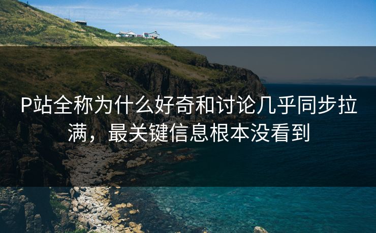 P站全称为什么好奇和讨论几乎同步拉满，最关键信息根本没看到