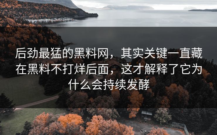 后劲最猛的黑料网，其实关键一直藏在黑料不打烊后面，这才解释了它为什么会持续发酵