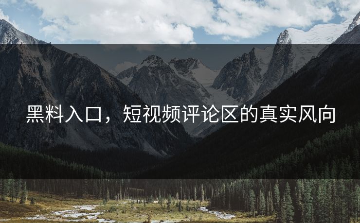 黑料入口，短视频评论区的真实风向