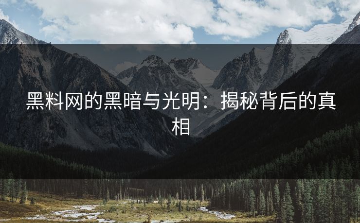 黑料网的黑暗与光明：揭秘背后的真相