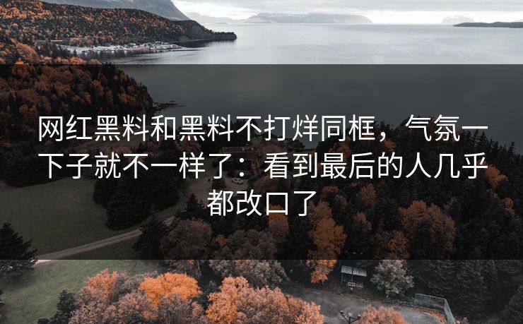 网红黑料和黑料不打烊同框，气氛一下子就不一样了：看到最后的人几乎都改口了