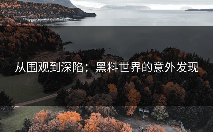 从围观到深陷：黑料世界的意外发现
