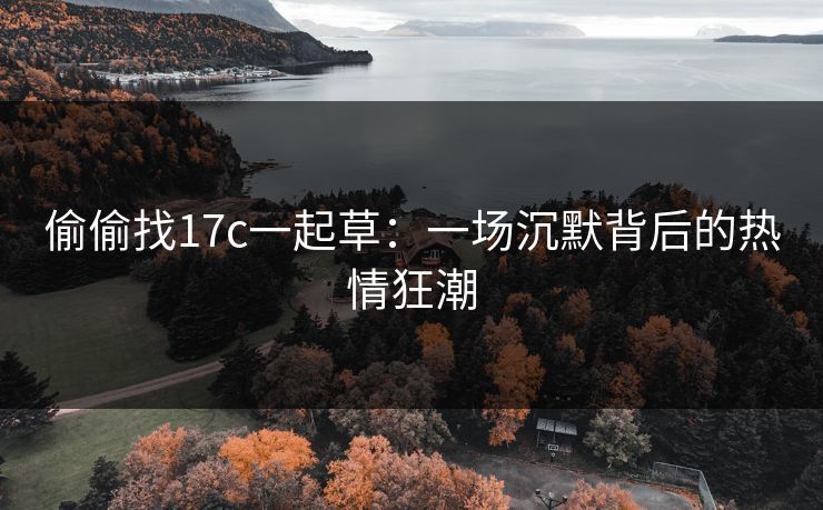 偷偷找17c一起草：一场沉默背后的热情狂潮
